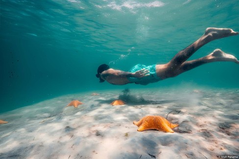 Snorkeling au Panama