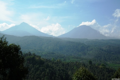 Montagnes de la région de Munduk