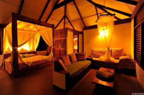 L-interieur-d-un-chalet-du-Bird-Island