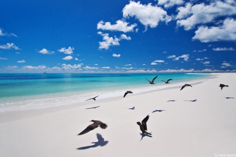 Plage-a-l-Ouest-de-l-ile