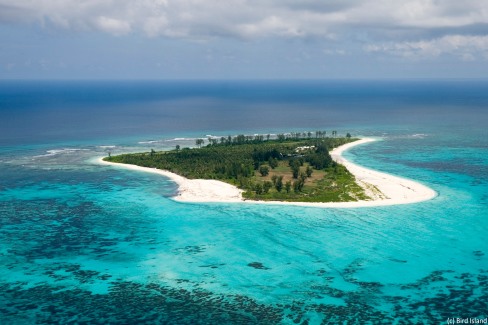 Vue-aerienne-de-Bird-Island