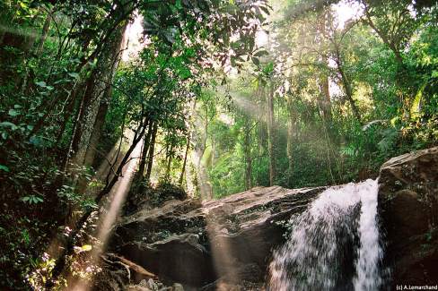 Cascade en pleine jungle thaïlandaise
