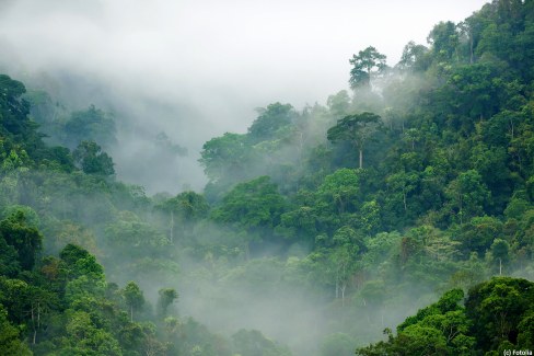 Parc national de Khao Sok