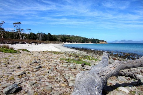 Maria-Island-Muriel-Concy