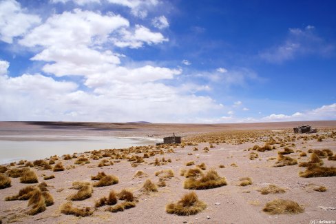 Une lagune dans le désert de Bolivie