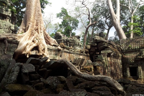 Merveille des temples d'Angkor, le Ta Prohm