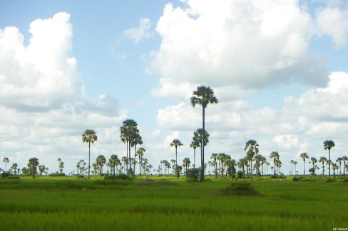 Paysage de campagne dans la région de Battambang