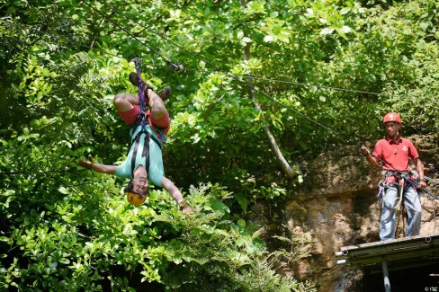 Canopy