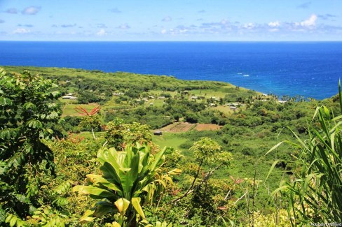 Côte nord de l'île de Maui dans l'archipel hawaïen
