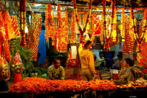 Marche-Haridwar