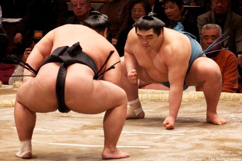 Tournoi-de-sumo-a-Tokyo-web