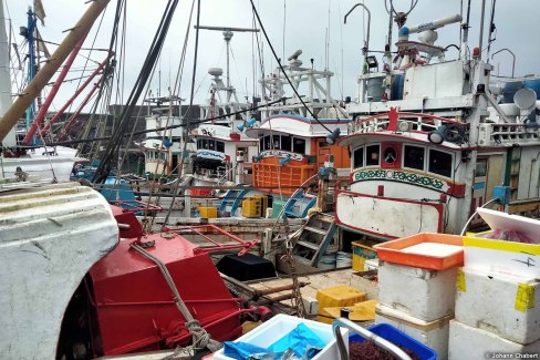 Arrivée des chalutiers dans un port près de Hualien à Taiwan