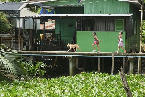 Maison sur pilotis dans le quartier de Bang Krachao