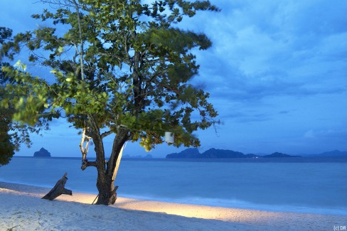 Vie insulaire sur les archipels de la mer d'Andaman