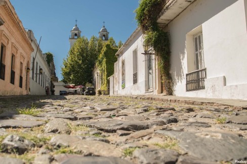 Colonia-web