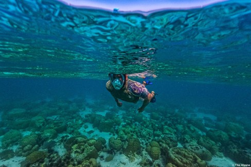 L'île de Pemba est réputée pour ses fonds marins de toute beauté