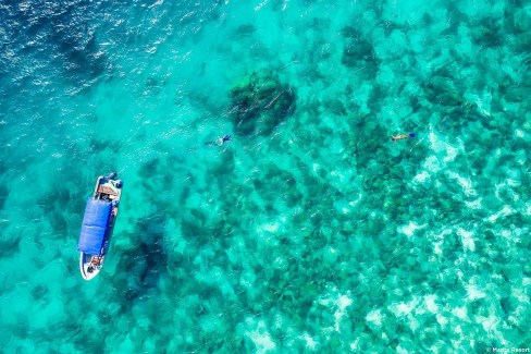 L'île de Pemba abrite une réserve marine protégée, propice à la plongée sous-marine