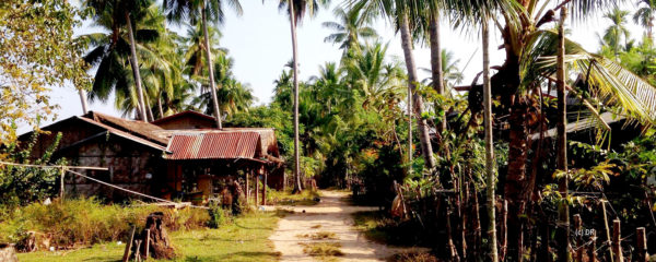 Voyage sur mesure dans le nord du Laos avec Monde Authentique agence de voyage spécialiste du Laos