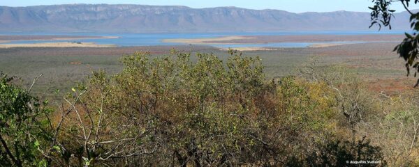 Un condensé d’Afrique du Sud : le Kwazulu Natal
